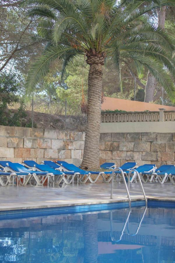 Elegance Playa Arenal Hotel Ел Аренал Съоръжения снимка